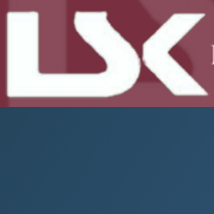 Les S. Kushner, P.A. logo