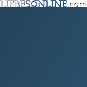 Liebesonline logo