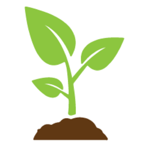 Dewpoint Communications logo