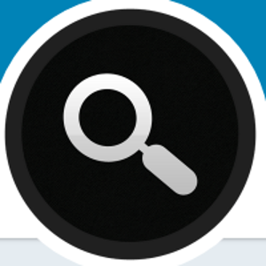 Michael Pellman Search Marketer logo