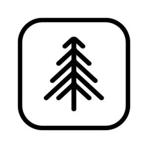 Black Pine Digital logo