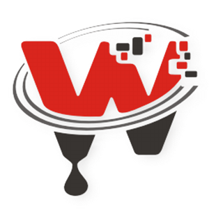 Web &amp; IT Solutions Provider logo