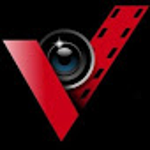 VizImage Production LLC logo