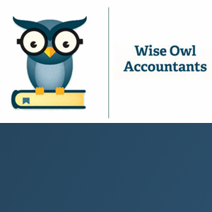 Wise Owl Accountants logo