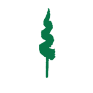 Designscapes Colorado logo
