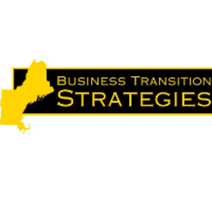 Business Transition Strategies logo