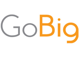 GoBig Branding Inc. logo