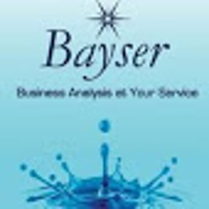 Bayser Consulting logo