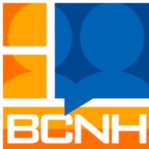 Business Consulting of NH LLC logo