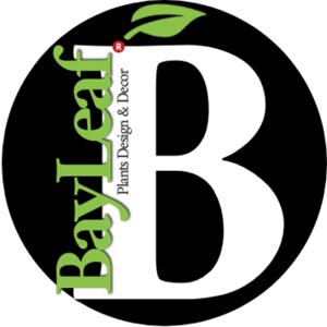 Bayleaf Plants Design &amp; Decor logo