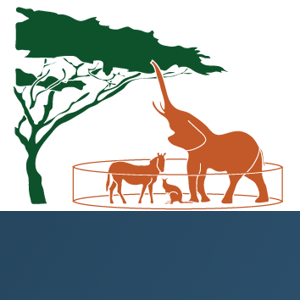 Zoo in a Jungle Marketing logo