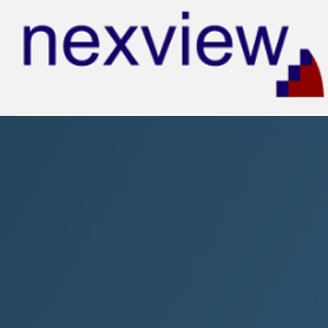 Nexview Consulting logo