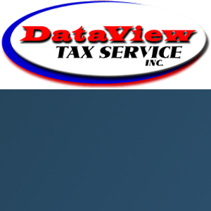 Dataview Tax Services logo