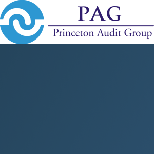 Princeton Audit Group - PAG logo