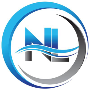 Next Level Management and Consulting logo