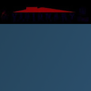 Visionary Real Estate Inc logo