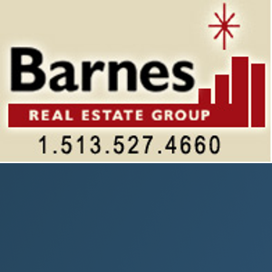 Barnes Real Estate Group logo