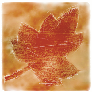 Waterleaf Architecture logo