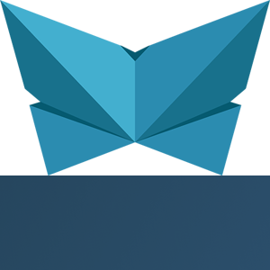 Blue Wing Consulting LLC logo