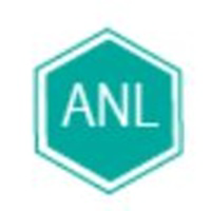 American New Logistics logo