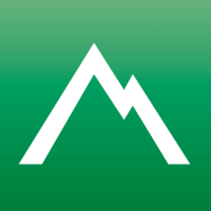 Country Consulting Group logo
