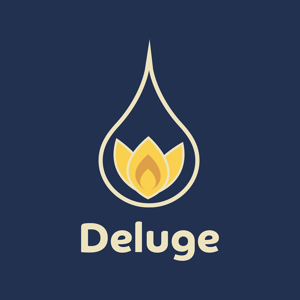 Deluge Digital Marketing logo