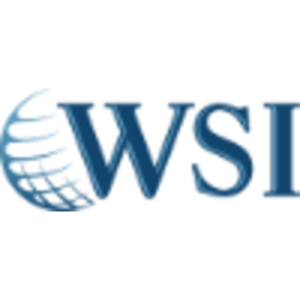 WSI eBiz Solutions logo