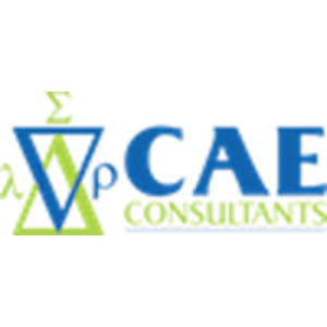 CAE Consultants logo