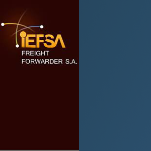 IEFSA logo
