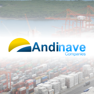 Andinave logo