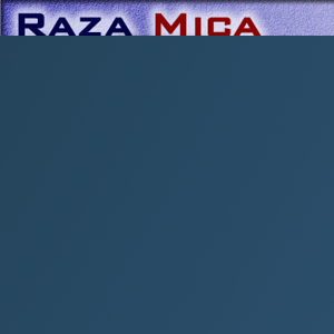 Raza Mica Law Office logo