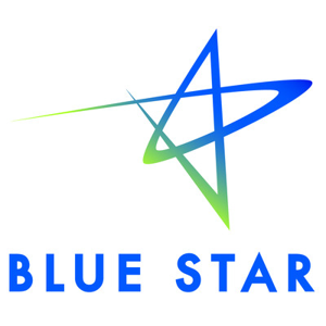 Blue Star IT Services &amp; Solutions logo
